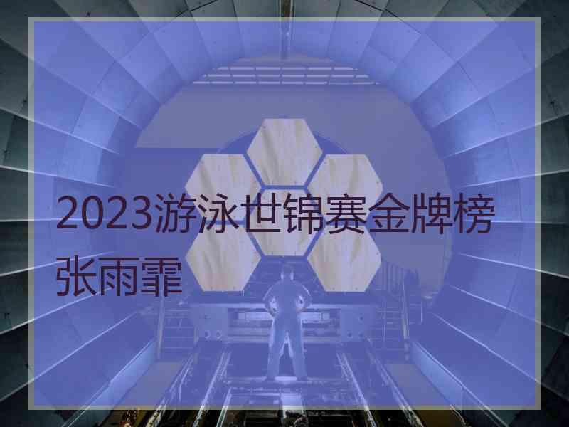 2023游泳世锦赛金牌榜张雨霏