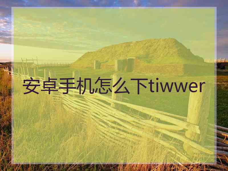 安卓手机怎么下tiwwer