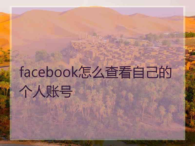 facebook怎么查看自己的个人账号