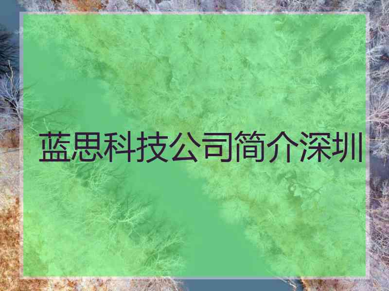 蓝思科技公司简介深圳