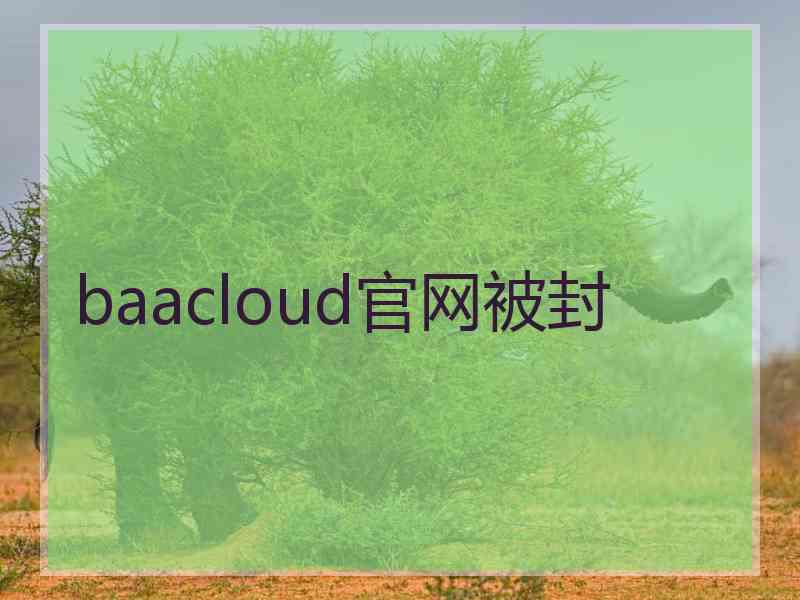 baacloud官网被封