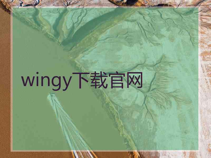 wingy下载官网