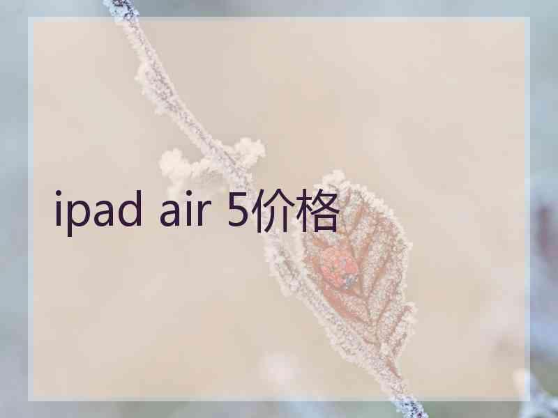 ipad air 5价格