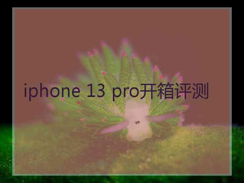 iphone 13 pro开箱评测