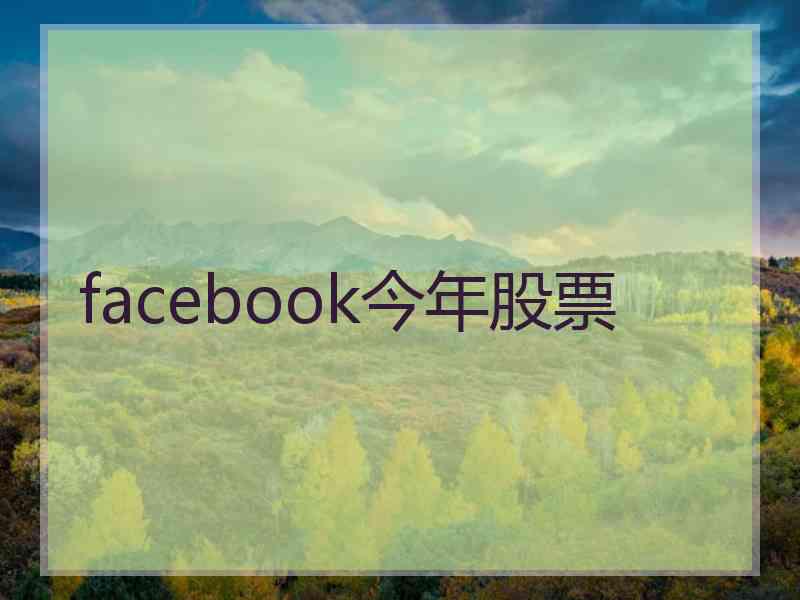 facebook今年股票