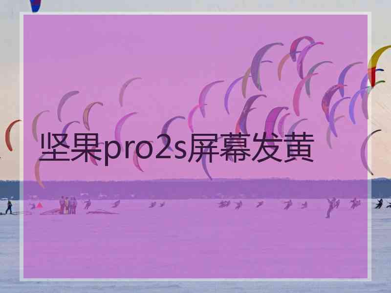 坚果pro2s屏幕发黄