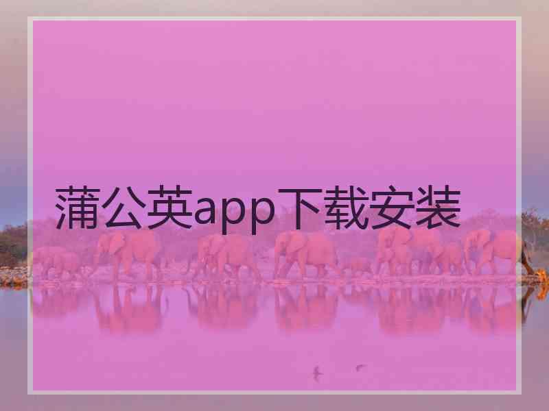 蒲公英app下载安装