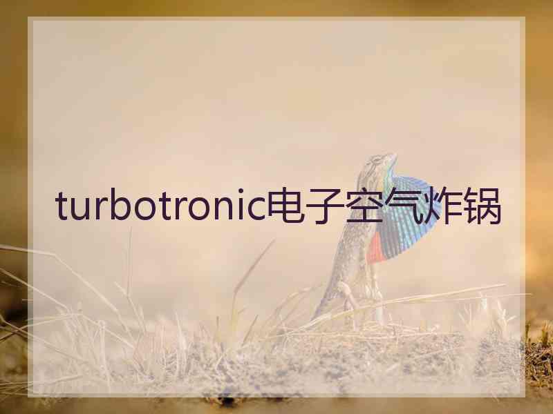 turbotronic电子空气炸锅