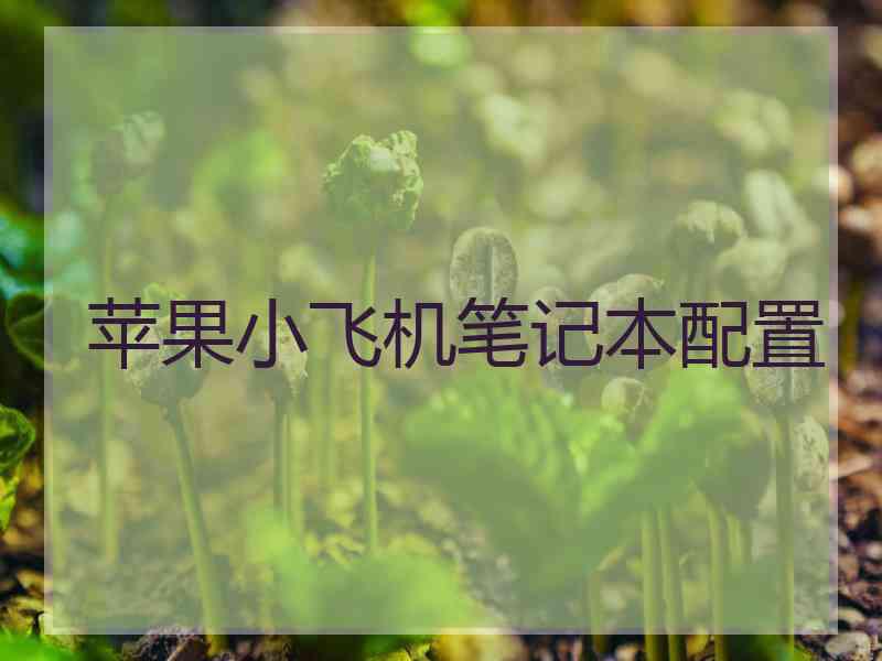 苹果小飞机笔记本配置