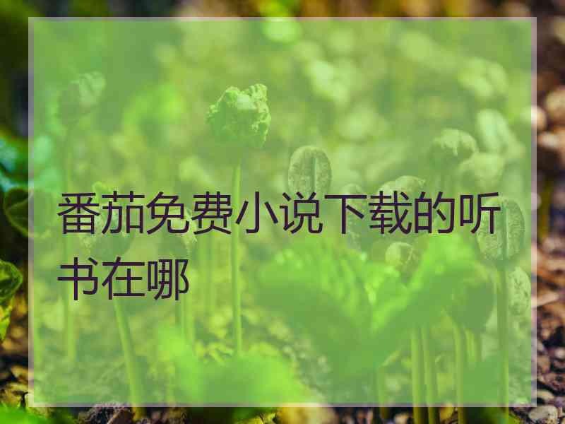 番茄免费小说下载的听书在哪