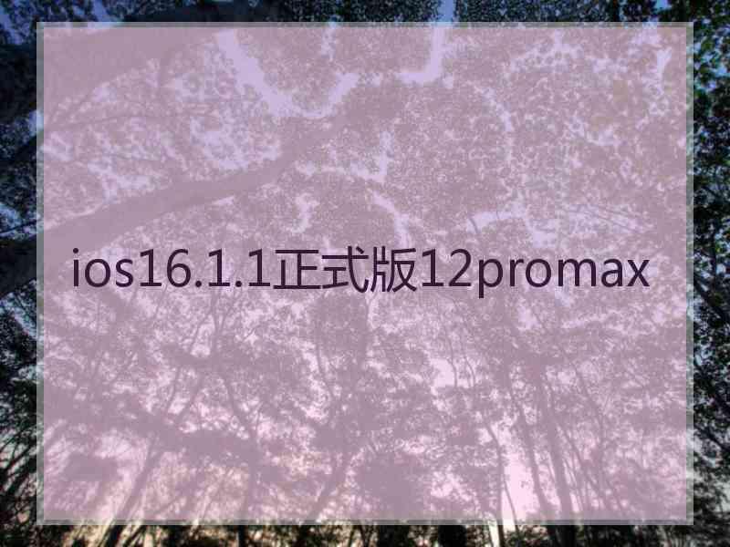 ios16.1.1正式版12promax