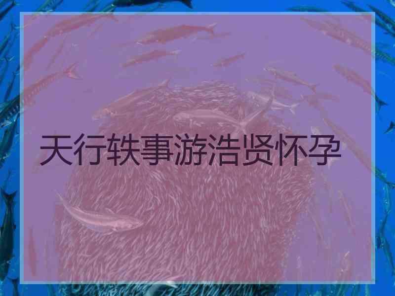 天行轶事游浩贤怀孕