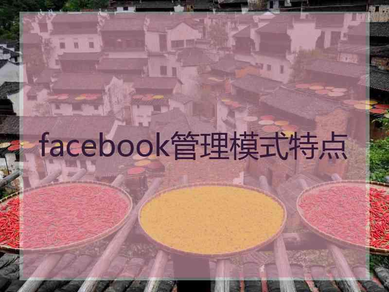 facebook管理模式特点