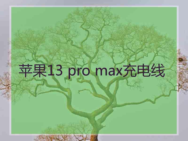 苹果13 pro max充电线