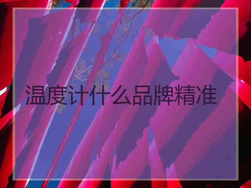 温度计什么品牌精准