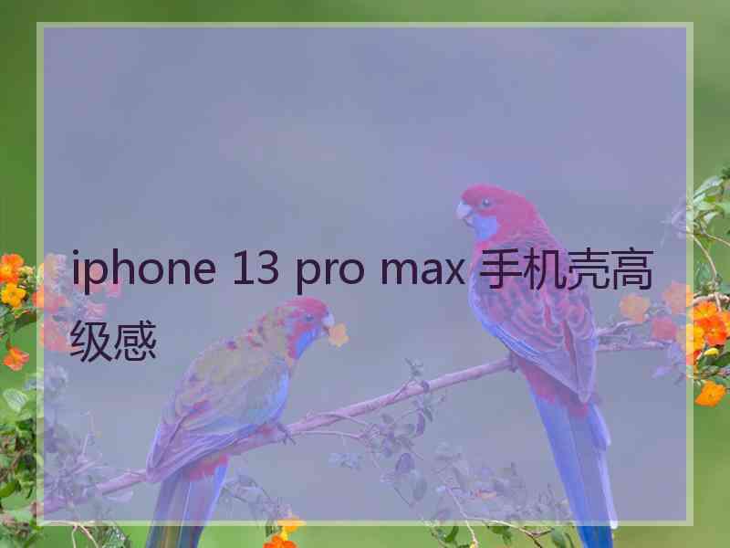 iphone 13 pro max 手机壳高级感