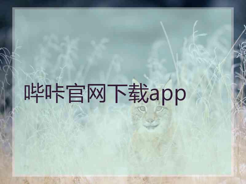 哔咔官网下载app