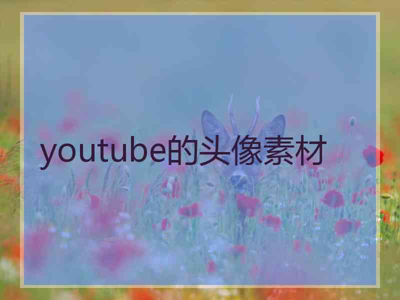 youtube的头像素材