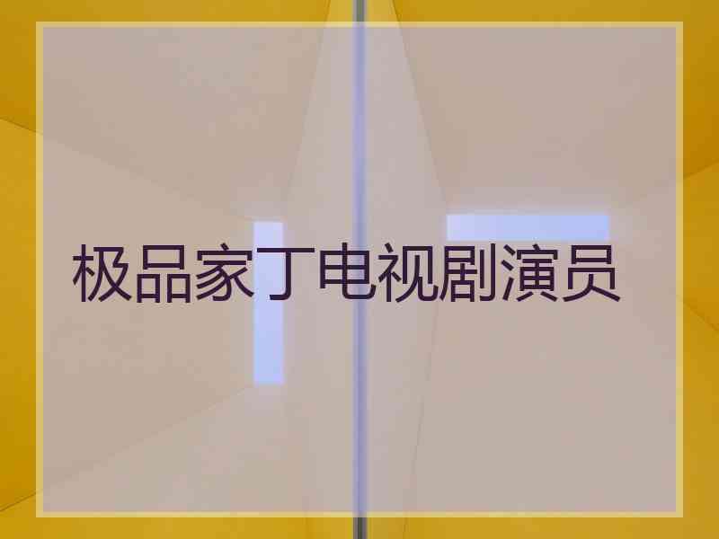 极品家丁电视剧演员