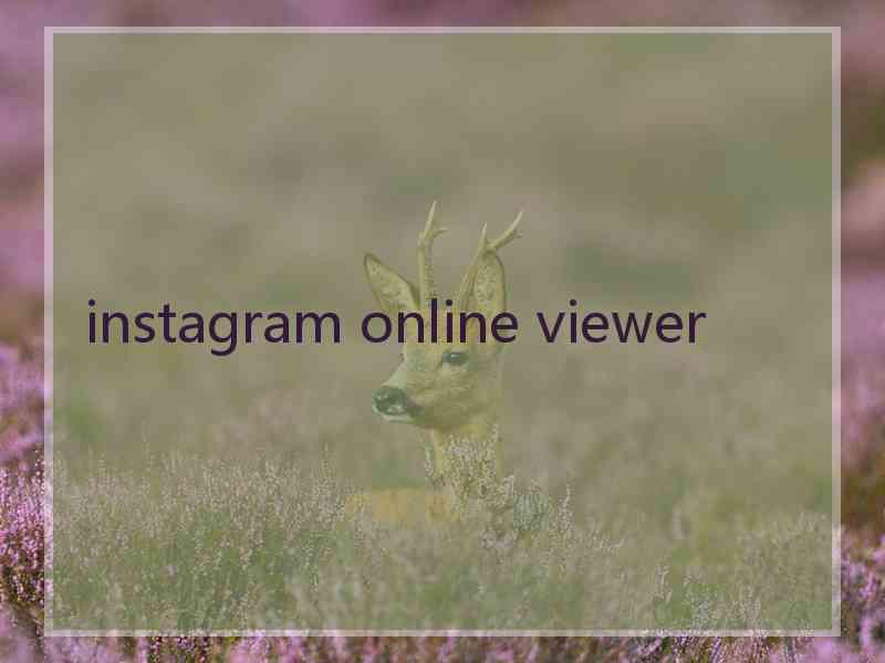 instagram online viewer