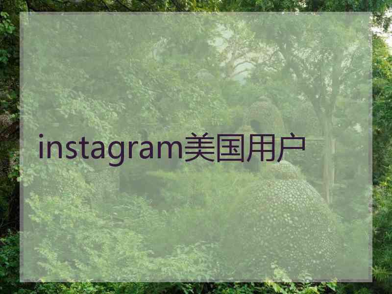 instagram美国用户