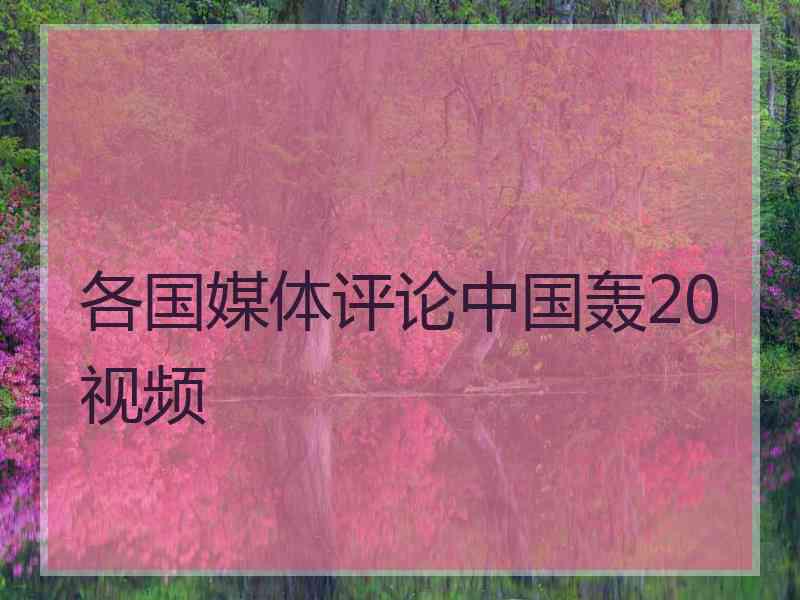 各国媒体评论中国轰20视频