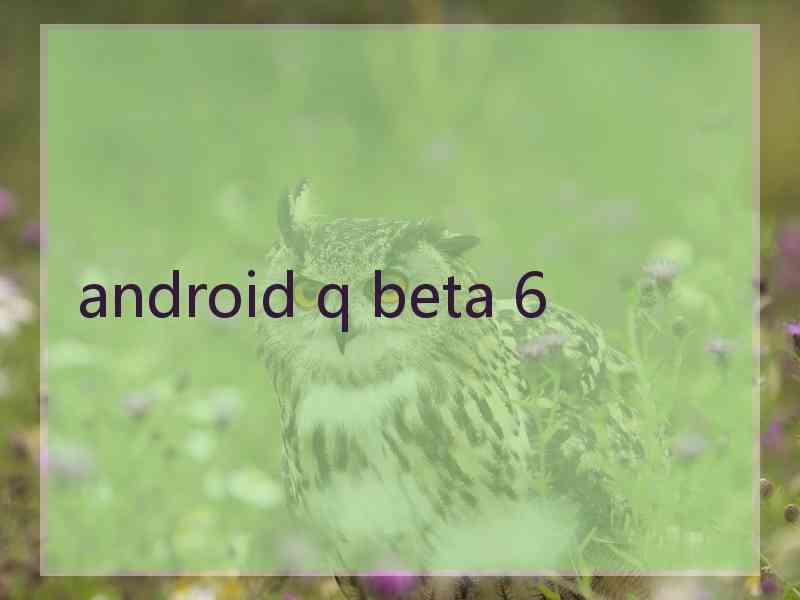 android q beta 6