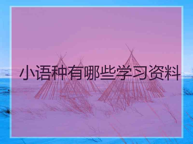 小语种有哪些学习资料