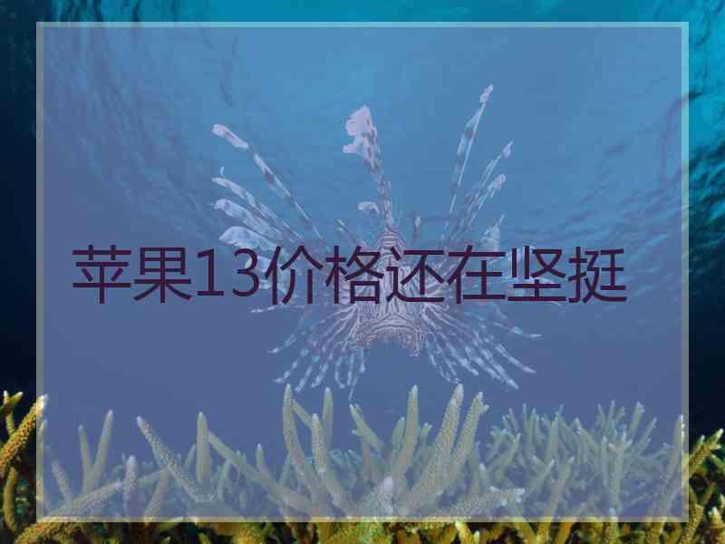 苹果13价格还在坚挺