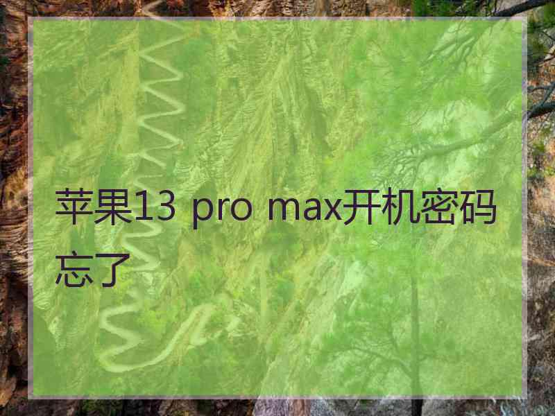 苹果13 pro max开机密码忘了