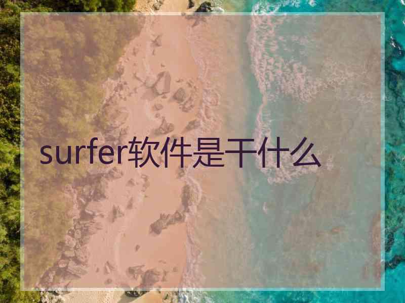 surfer软件是干什么