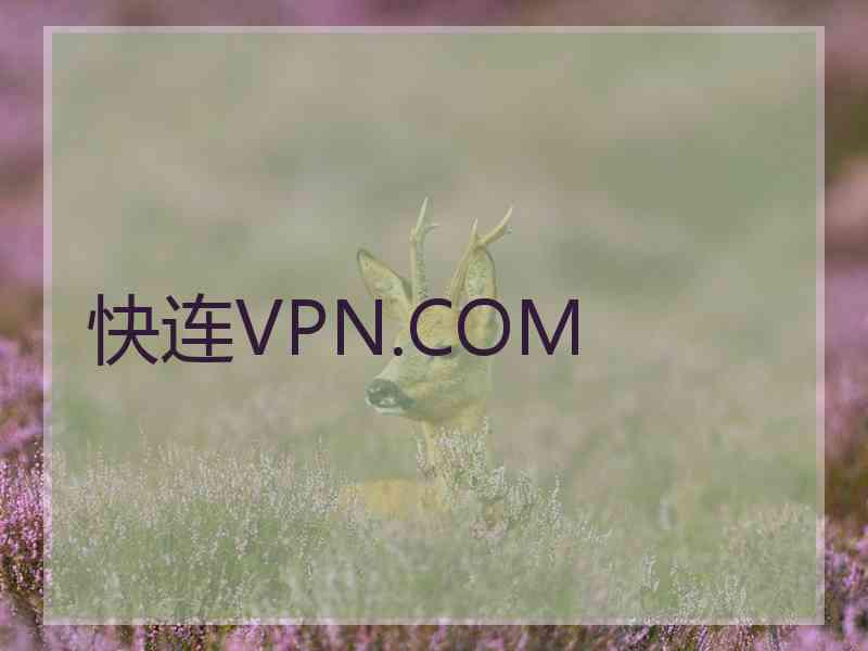 快连VPN.COM