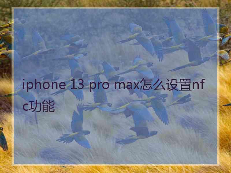 iphone 13 pro max怎么设置nfc功能