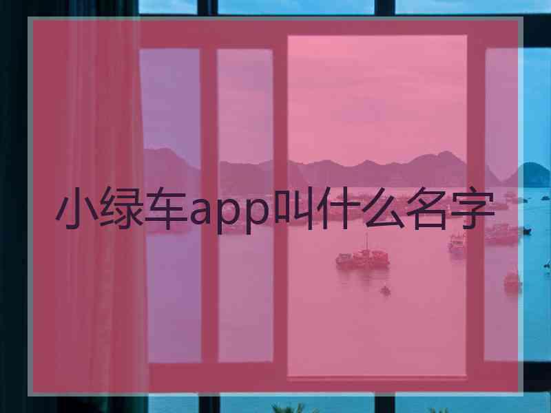 小绿车app叫什么名字