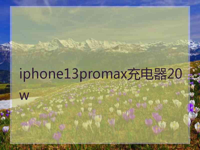 iphone13promax充电器20w