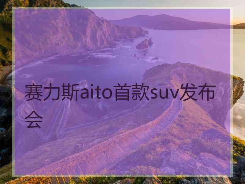 赛力斯aito首款suv发布会