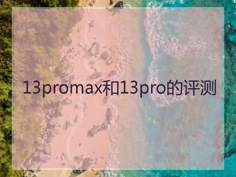 13promax和13pro的评测