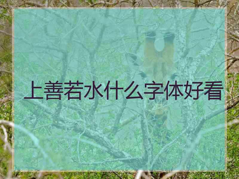 上善若水什么字体好看