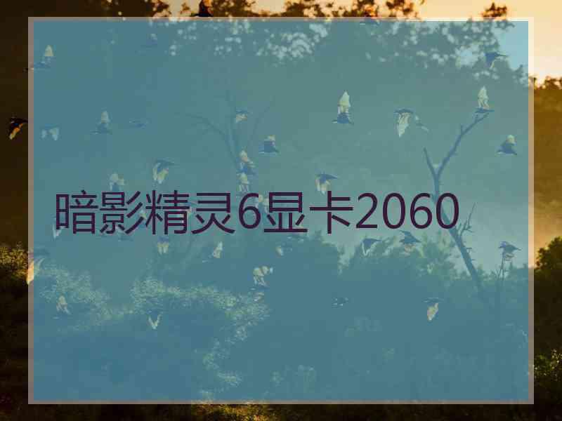 暗影精灵6显卡2060