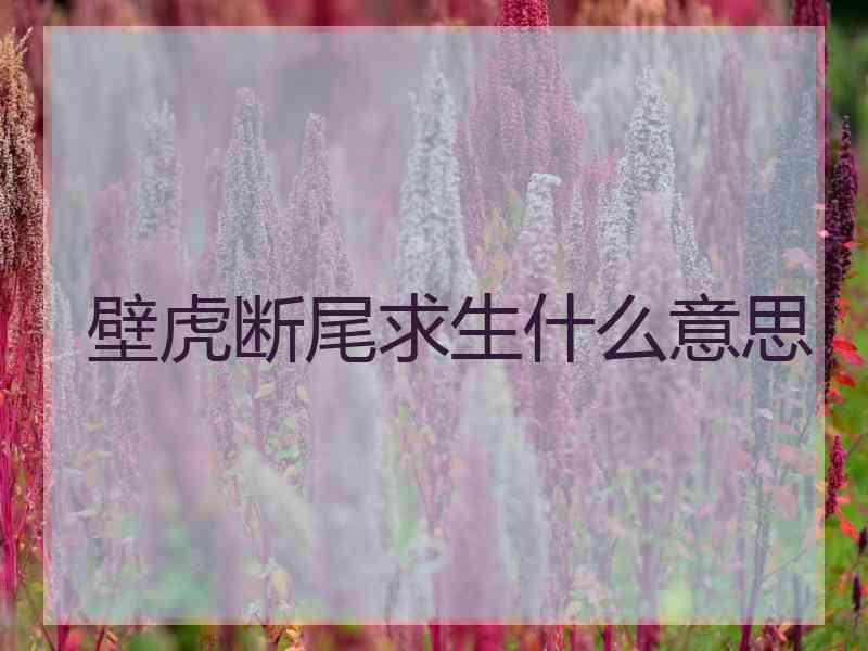 壁虎断尾求生什么意思