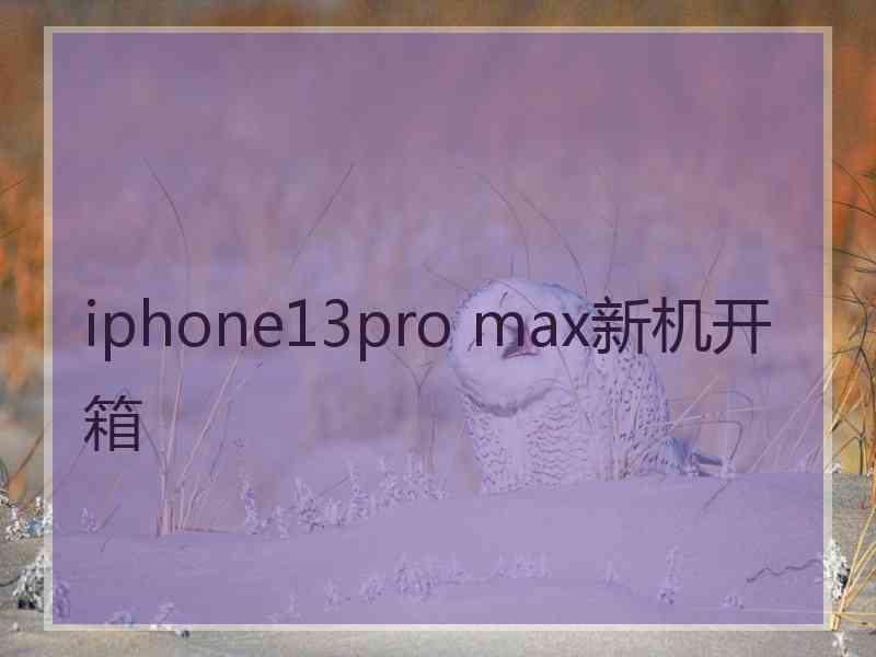 iphone13pro max新机开箱