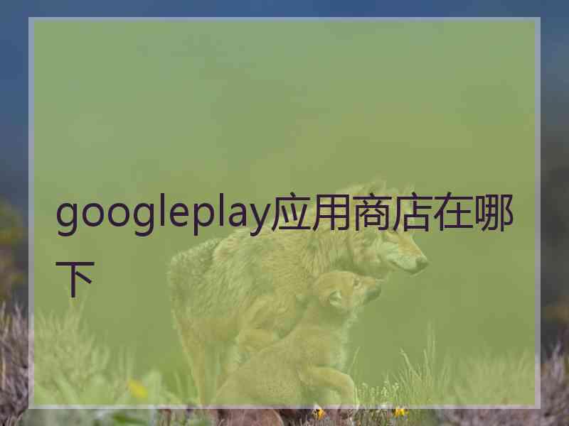 googleplay应用商店在哪下