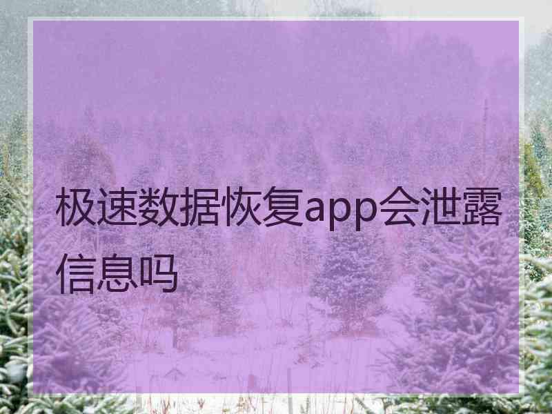 极速数据恢复app会泄露信息吗