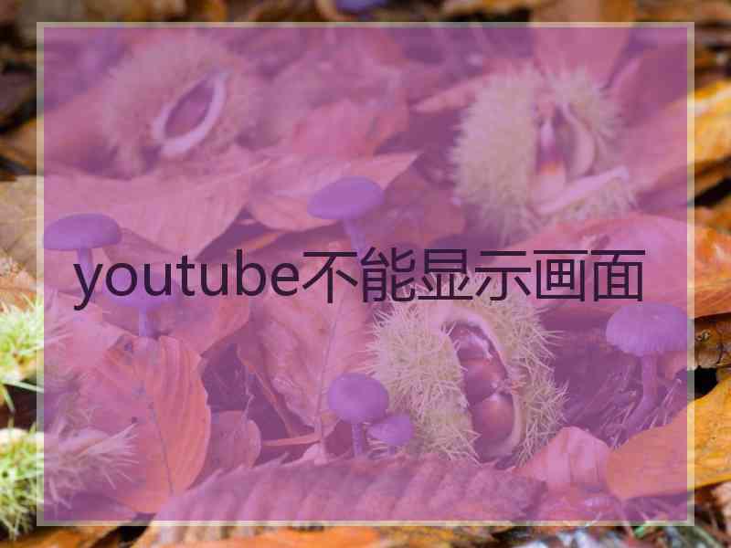 youtube不能显示画面