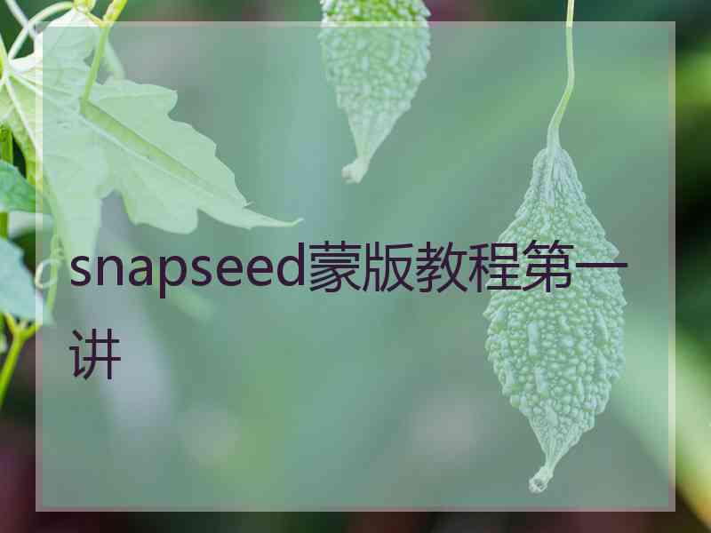 snapseed蒙版教程第一讲