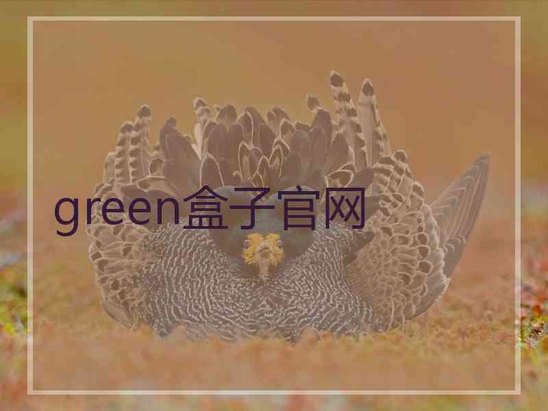 green盒子官网