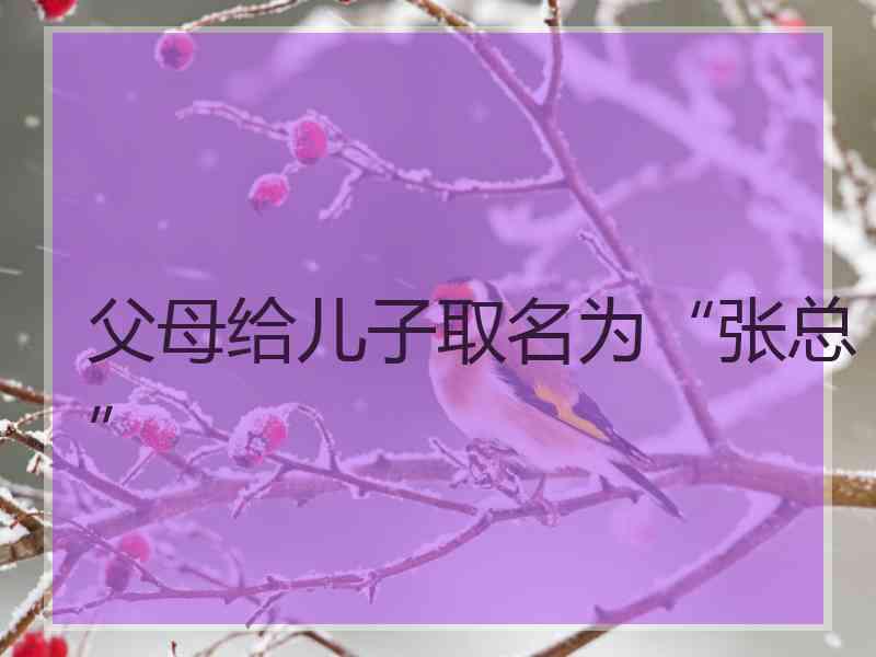 父母给儿子取名为“张总”