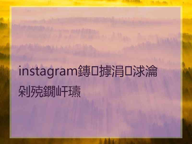 instagram鏄摢涓浗瀹剁殑鐗屽瓙