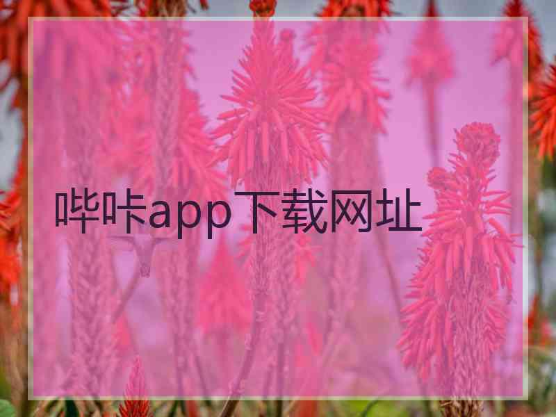 哔咔app下载网址