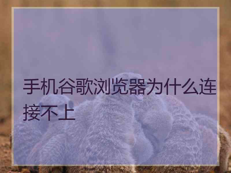 手机谷歌浏览器为什么连接不上